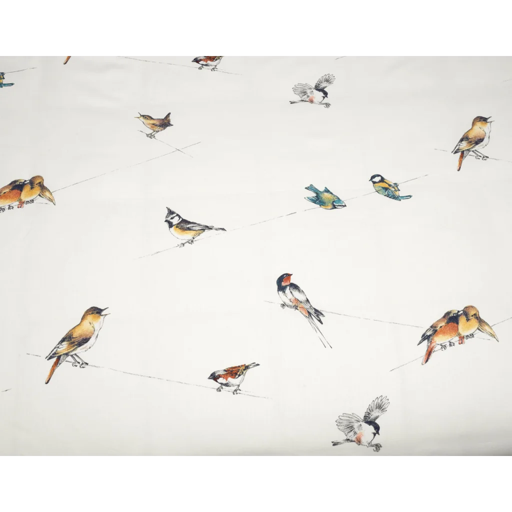 Bio Satin Bettwäsche Nachtigall Kissenbezug in Muster Nachtigall von Cotonea Größe 40x80 cm
