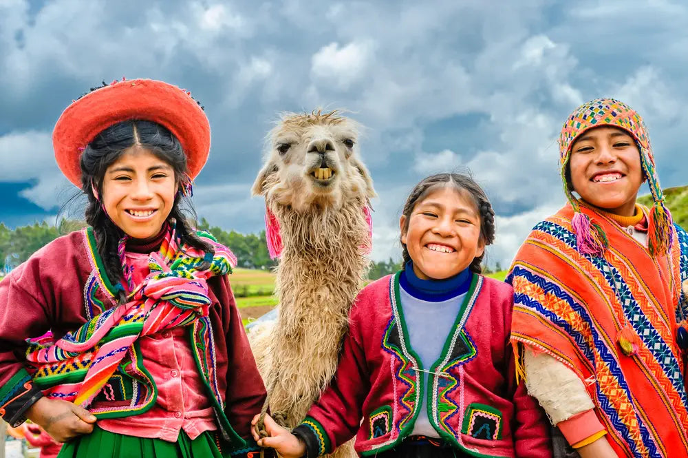 Alpaka mit Gruppe von Kindern in Peru