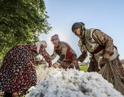 Cotonea Frauen sortieren Bio-Baumwolle in Kirgistan